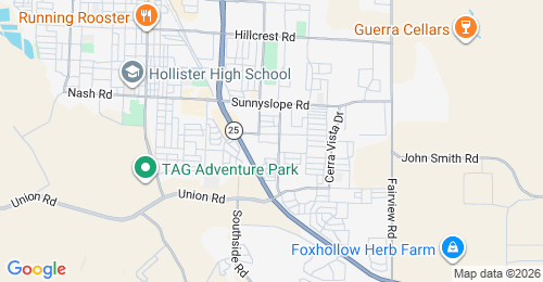 Google map